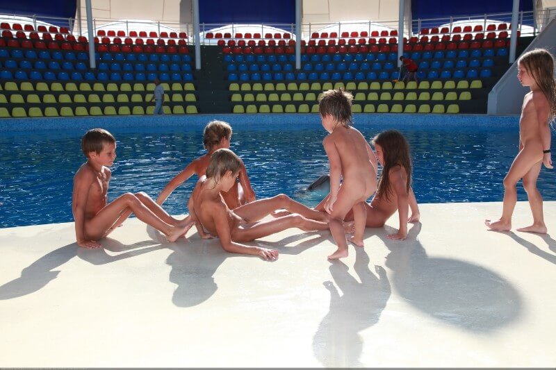 Swimming dolphins photo gallery - The impact of naturism on health