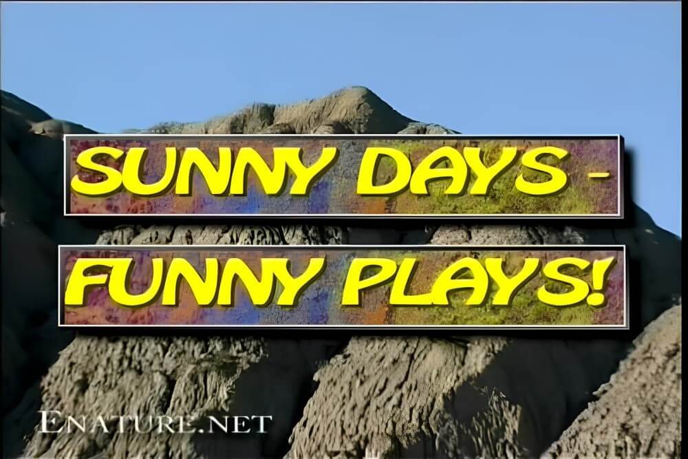 Enature - Sunny Days – Funny Plays - It helps people understand that the naked body is not an object to be judged