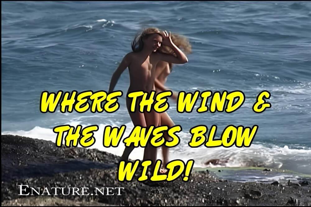 Enature - Where the Wind and the Waves Blow Wild! - The community of naturist movement supporters and their values