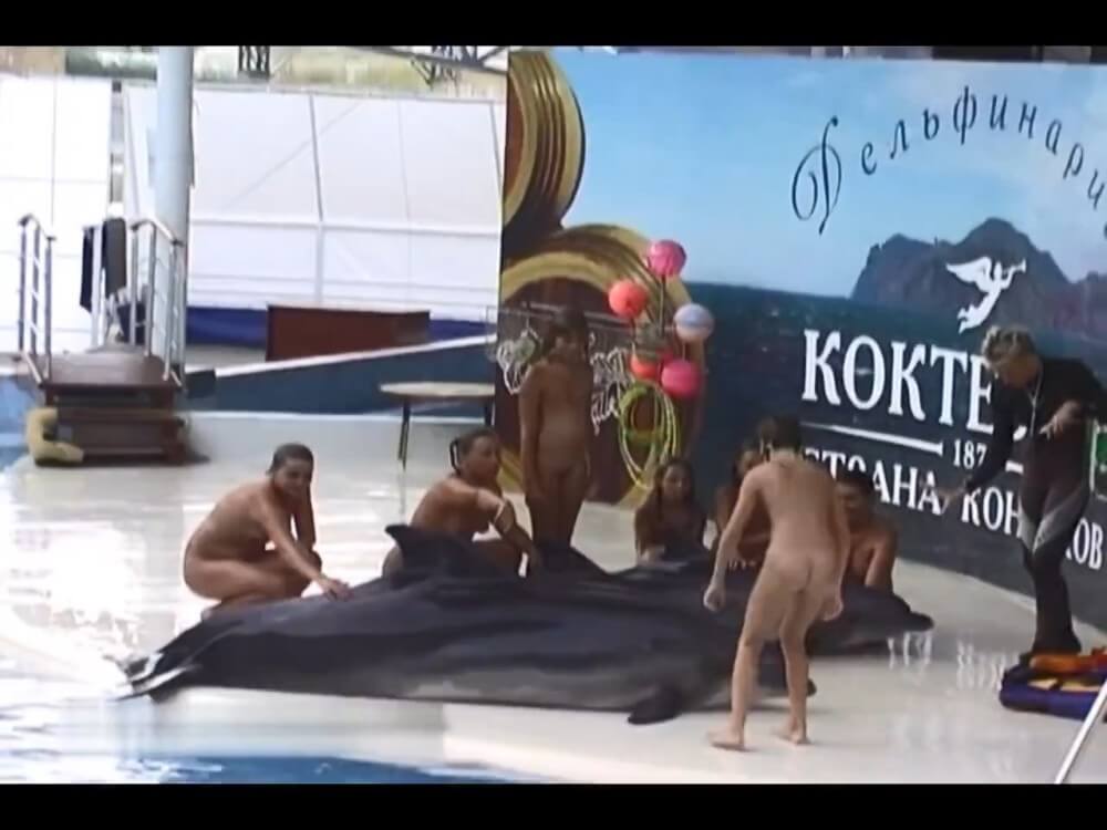 Relaxing at the dolphinarium - Nudism and naturism value harmony and balance